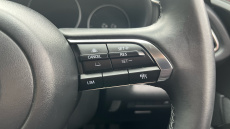 Mazda CX-30 2.5 e-Skyactiv G MHEV [140] Homura 5dr Petrol Hatchback